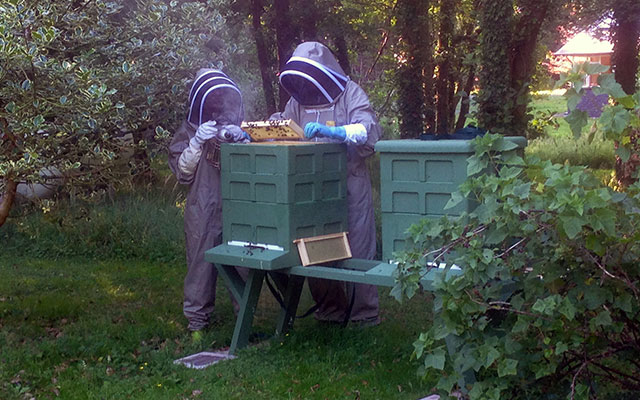 The Apiary at Gleann Fia