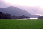 muckross gardens