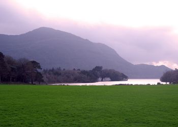 muckross gardens