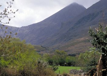 reeks01
